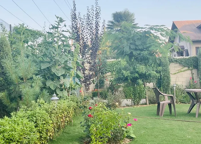 Sb Home Stay Srinagar 