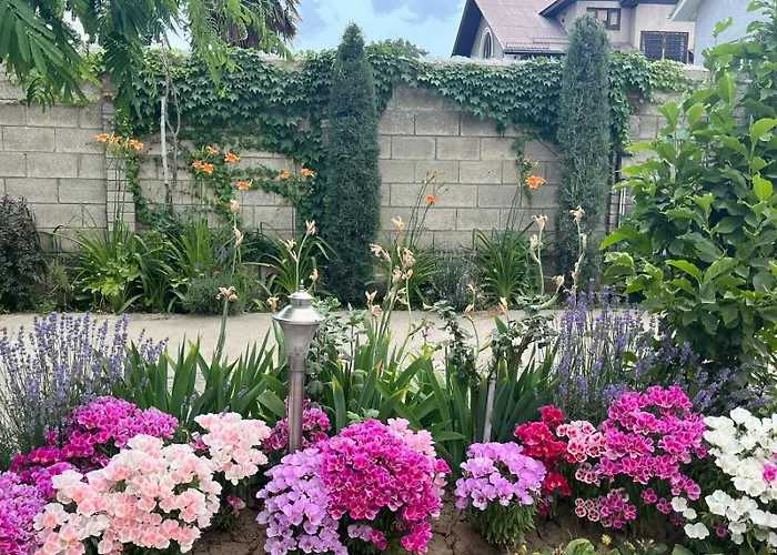 Sb Home Stay Srinagar 