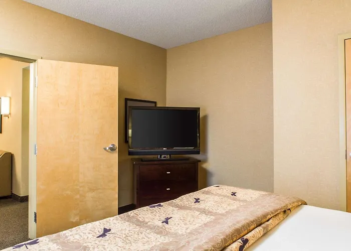 Cambria Hotel Raleigh-Durham Airport Morrisville