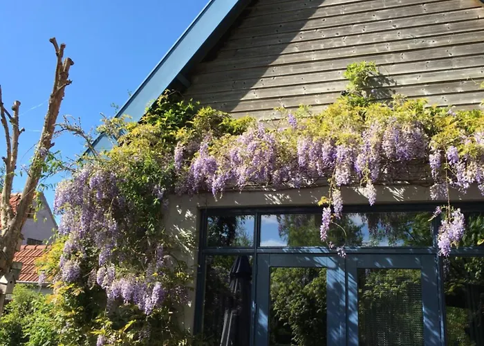 B&B De Lotus Hoevelaken