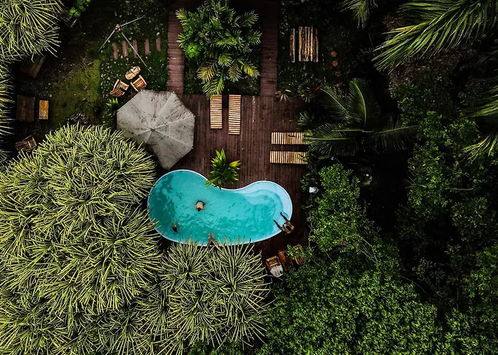 Hotel Socialtel Red Frog Bastimentos