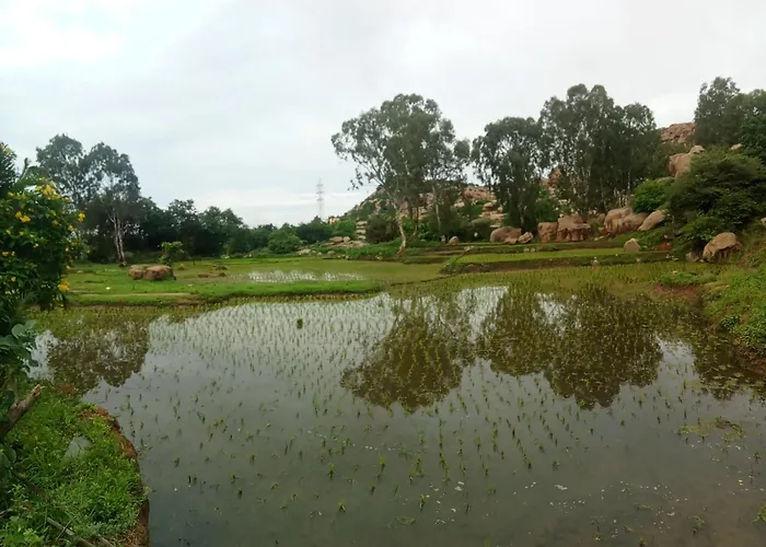 Rambo Homestay & Restaurant Hampi