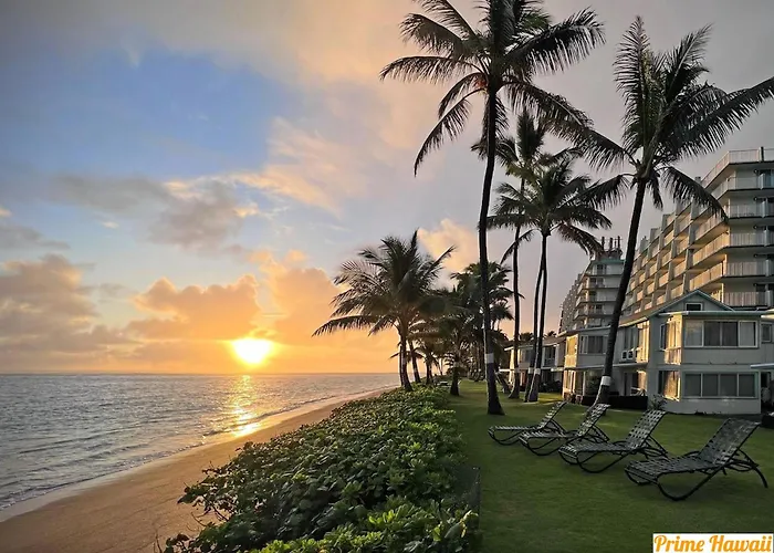 Pats At Punalu'U Hau'ula