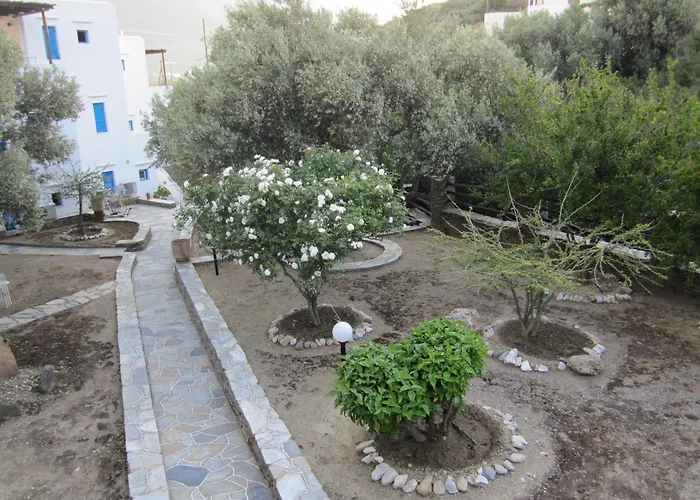 Alexandros Hotel Platis Gialos 