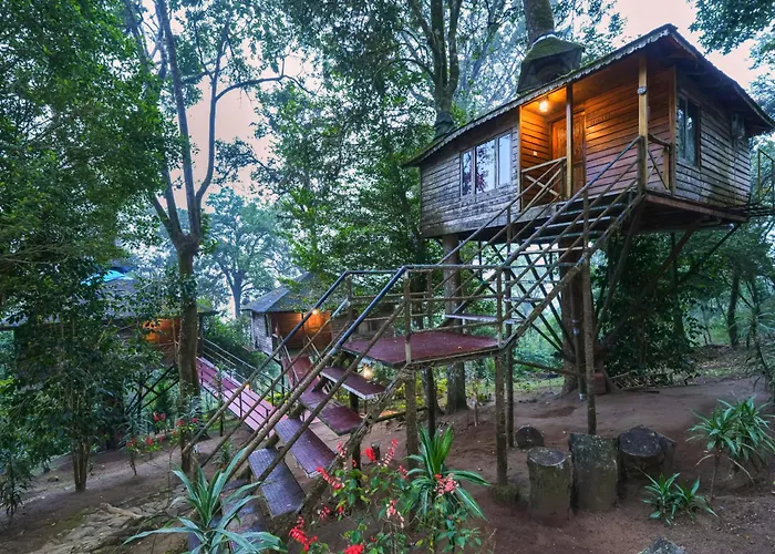 Nature Zone Jungle Resort- Experience The Wilderness & Adventure Munnar