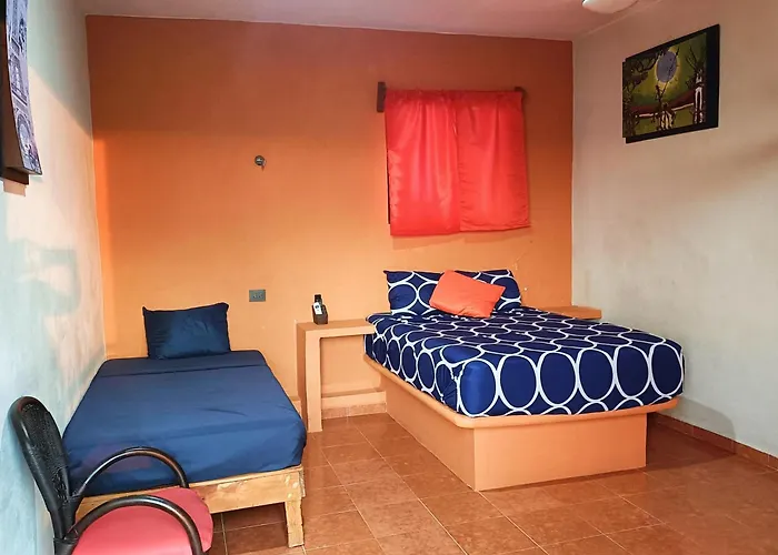 El Ultimo Maya Akumal