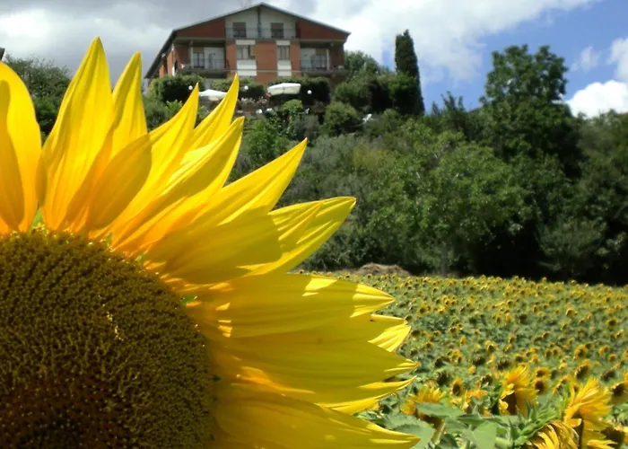 Hotel Sangallo B&B - Panoramic Position - Valley And Vineyard View- Family Run Montepulciano Stazione