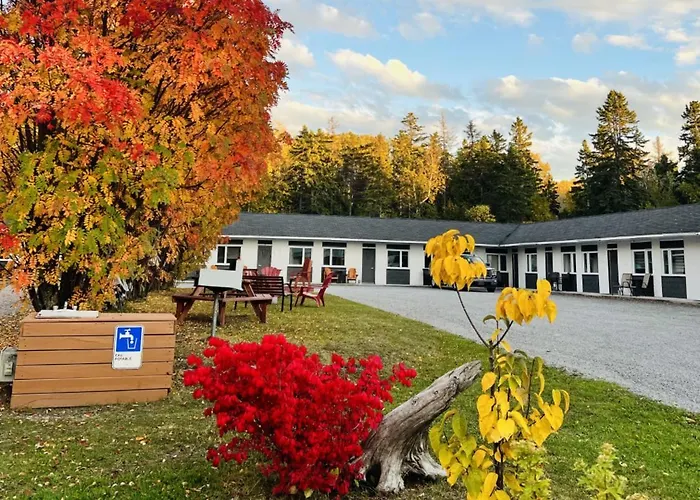 Motel De L'Anse Et Camping Rimouski