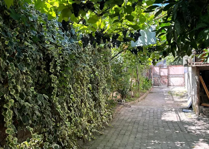 Downtown Guest House Kutaisi