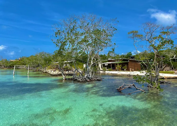 Medusa Hostel Isla Tintipan Tintipan Island