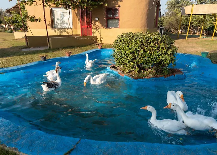 Arise Ethnic Village Resort - Manesar Bilaspur Gurgaon