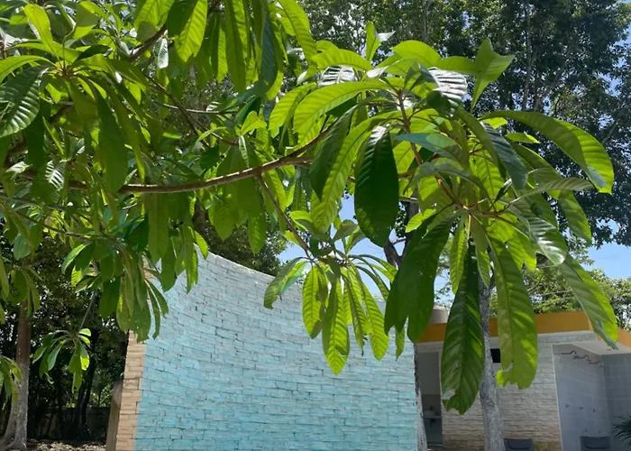 Ranch Las Chulas Hotel And Restaurant Puerto Morelos