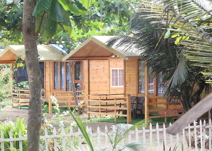Basho Beach Resort Arambol