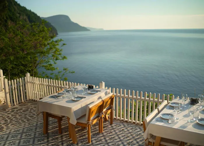 Sadef Akkonak Amasra