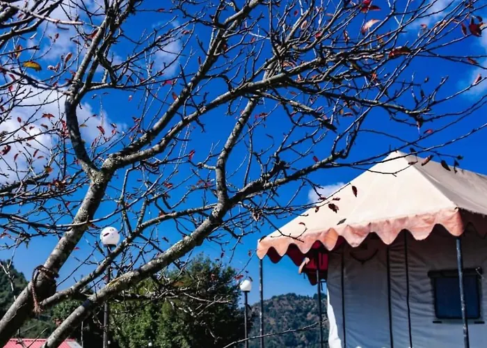 Instaview Kanatal