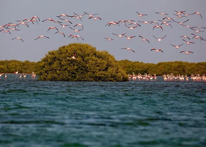 Flamingo Beach Hotel Umm al-Quwain