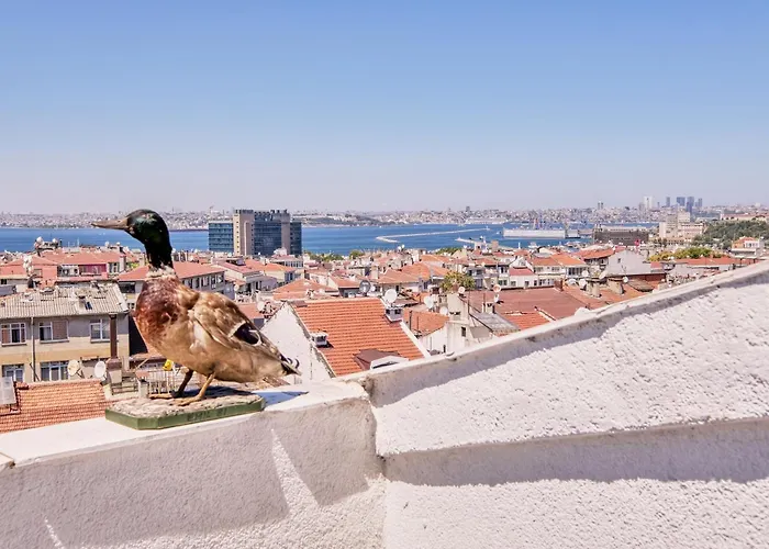 Duck Otel Istanbul