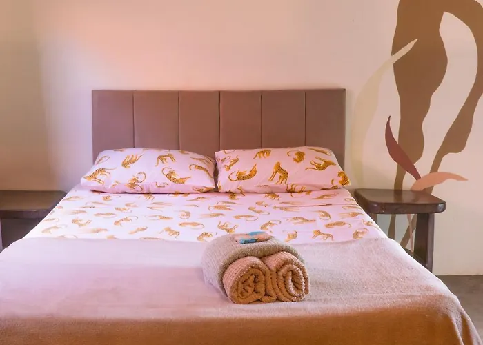 Seriema Hospedagem - Vila de São Jorge