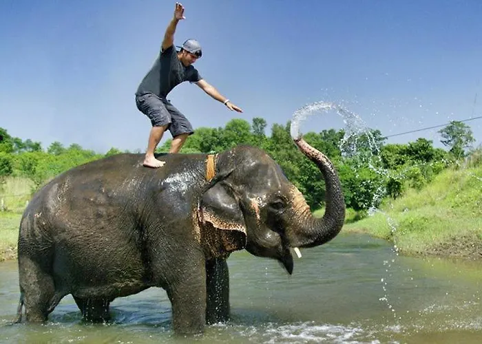 Hotel Royal Safari Chitwan