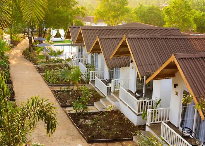 White Wood Resort By Stone Wood Hotels Morjim