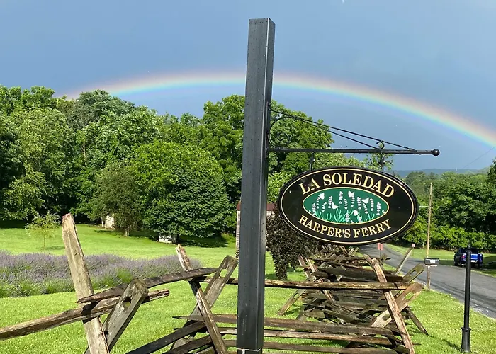 La Soledad Lavender Farm And Guesthouse Harpers Ferry