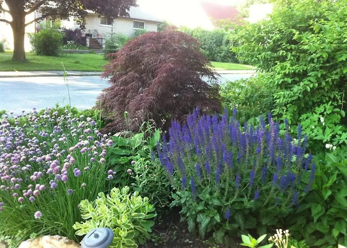 Turtle Island Bed And Breakfast Gananoque