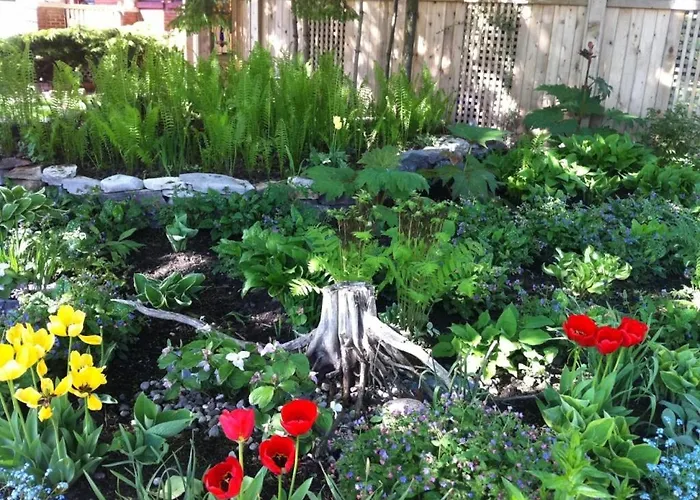Turtle Island Bed And Breakfast Gananoque