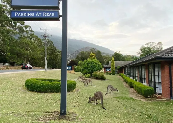Golden Chain Country Plaza Motel Halls Gap