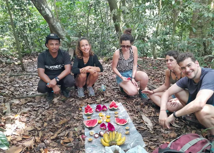 Sawah Resto Bungalow & Jungle Trekking Bukit Lawang