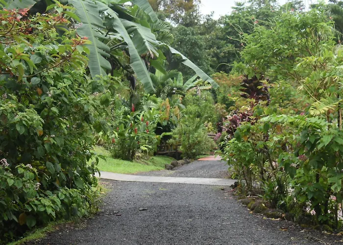 Hotel Roca Negra Del Arenal La Fortuna