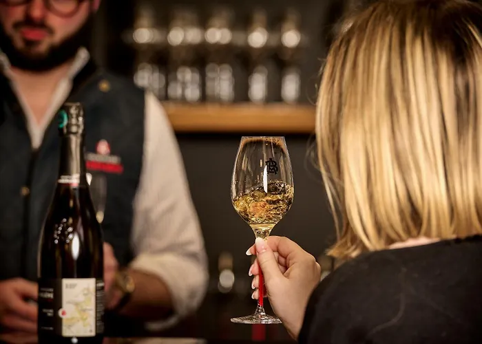 Champagne Andre Bergere & Suites Epernay
