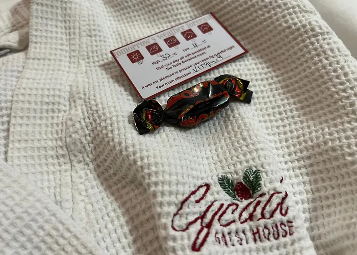 Cycad Guest House Polokwane