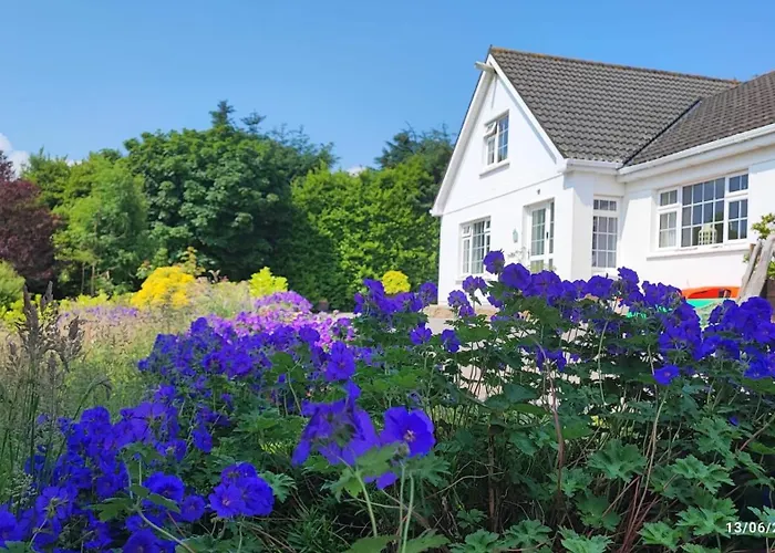 Happy Hill Guesthouse Youghal
