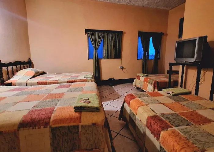 Hotel La Jungla Flores