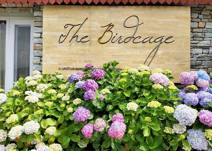 The Birdcage, Mukteshwar Hotel
