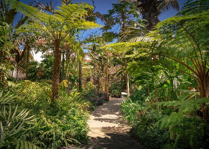 Hotel Hacienda de Abajo-Adults Only Tazacorte