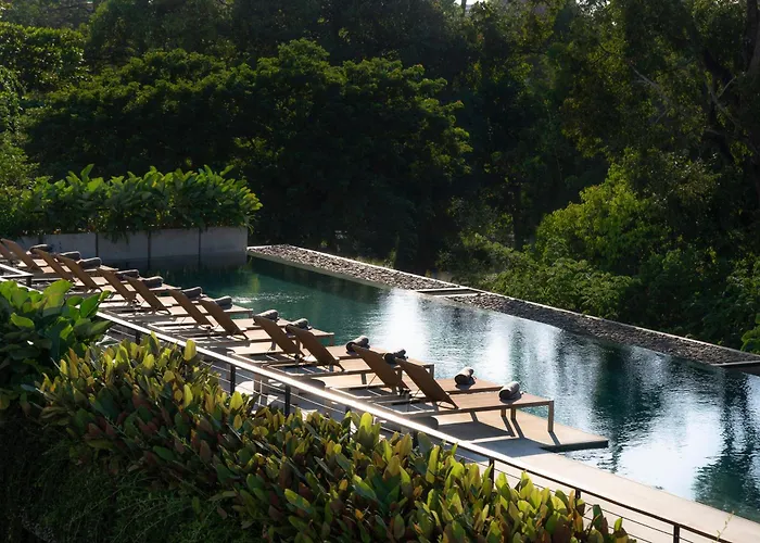Treeline Urban Resort Siem Reap