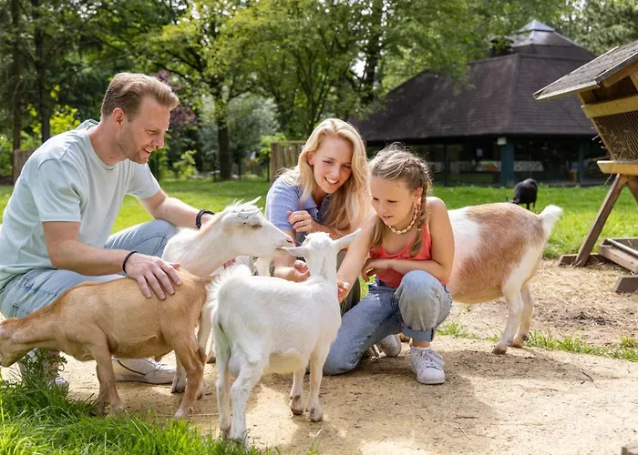 Hotel Het Heijderbos by Center Parcs Heijen