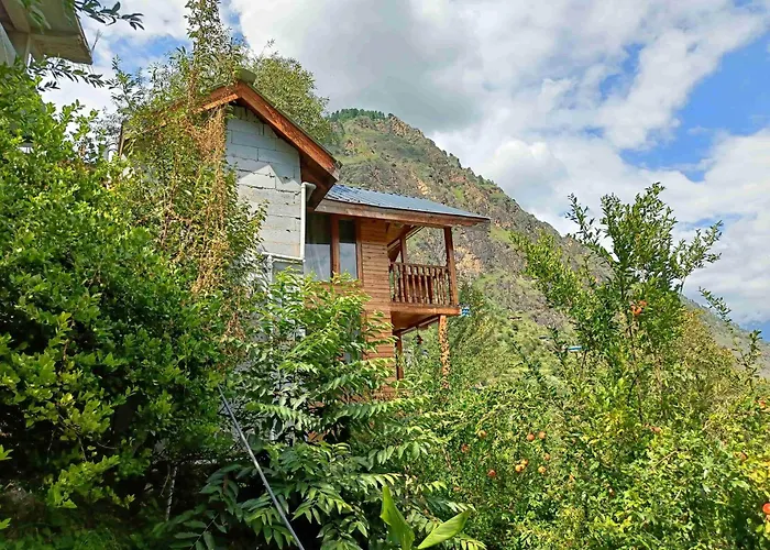 Odyssey Stays Kasol - Tree House & Swiss Tent