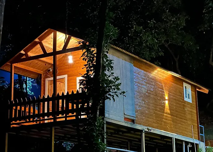 Coorg Jungle Mist Bed & Breakfast Madikeri