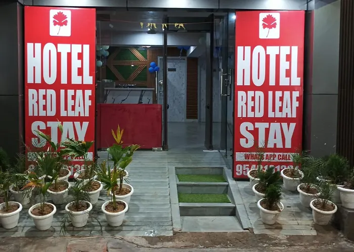 Red Leaf Stay New Delhi