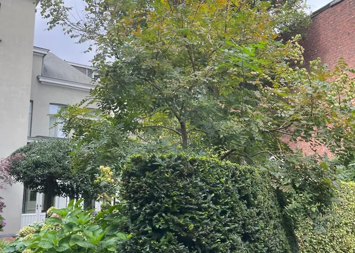 Huis Dujardin Bed&Breakfast Anvers