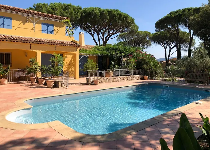 Sous les pins parasols Vidauban