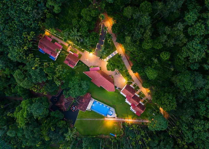 Theyila Wayanad Premium Pool Resort Sultan Bathery