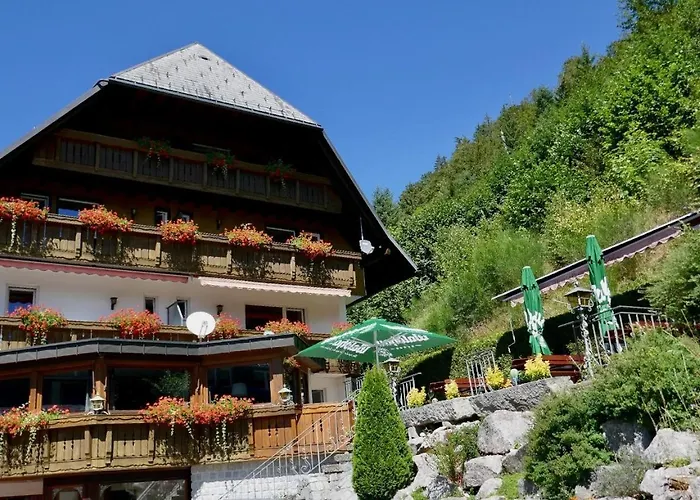 Hotel Silberfelsen Menzenschwand