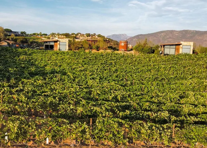 Brisa Del Valle Hotel Boutique Valle de Guadalupe