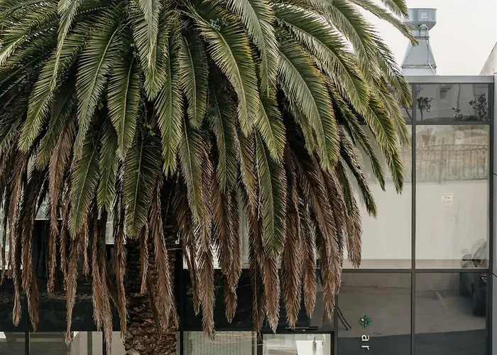 Areca Launceston Hotel