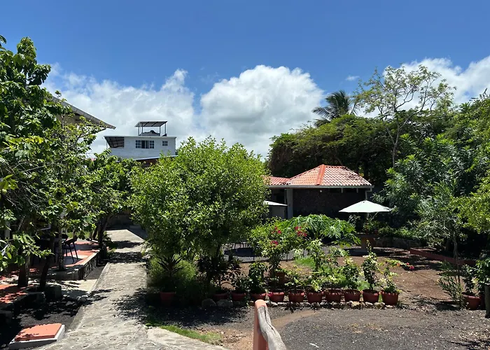 Lava House Hostal Puerto Ayora 