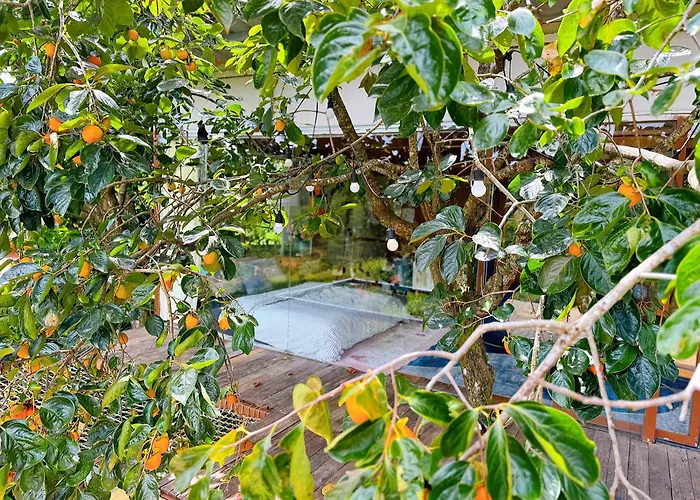 An Yen Villa Da Lat