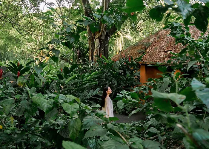 Hotel Maya Bell Palenque